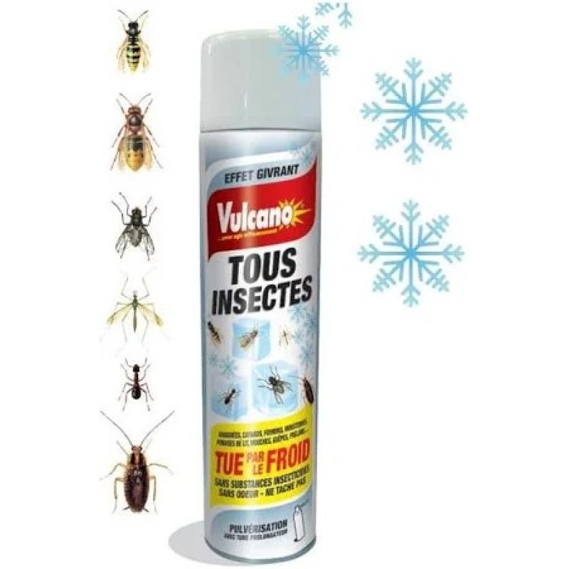 VULCANO AEROSOL TOUS INSECTES VOLANTS ET RAMPANTS EFFET GIVRANT 500ML